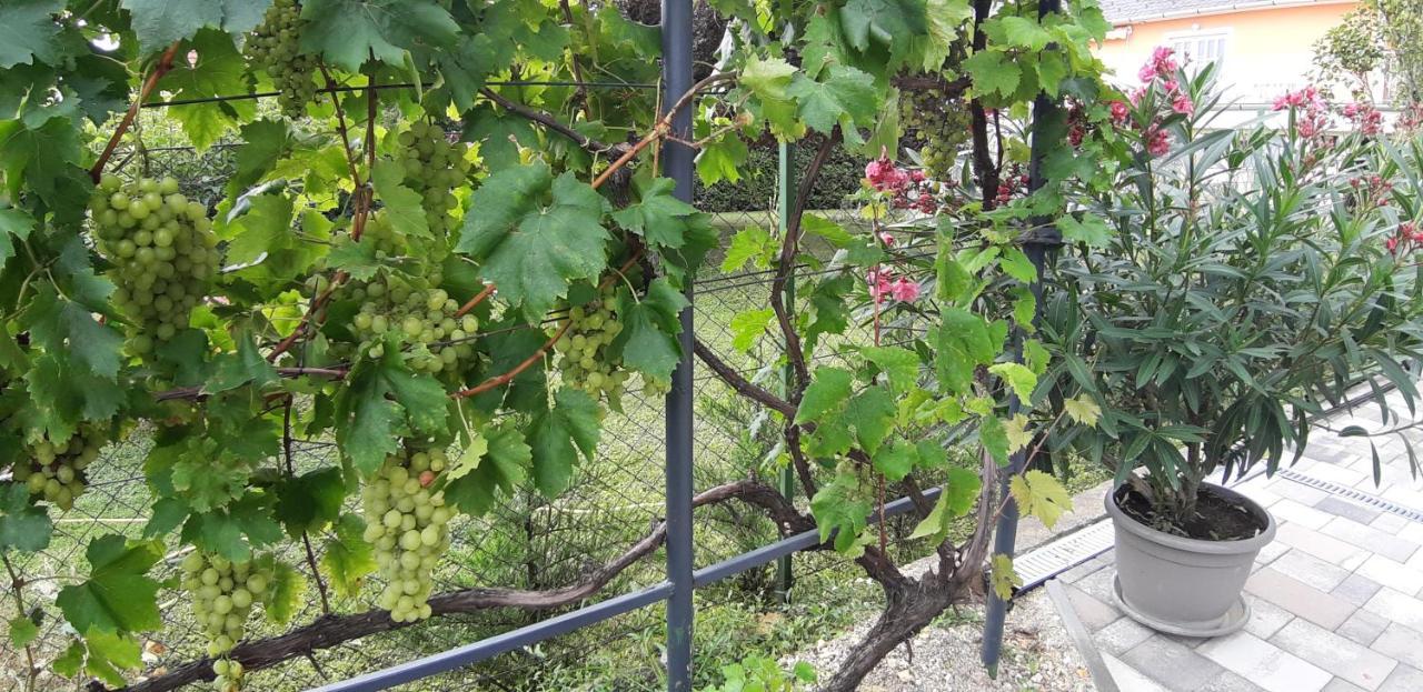 A Bringas Apartman Balatonfüred Εξωτερικό φωτογραφία